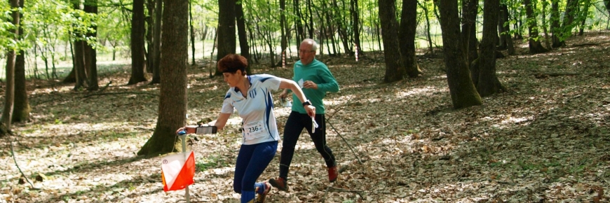blogpost6