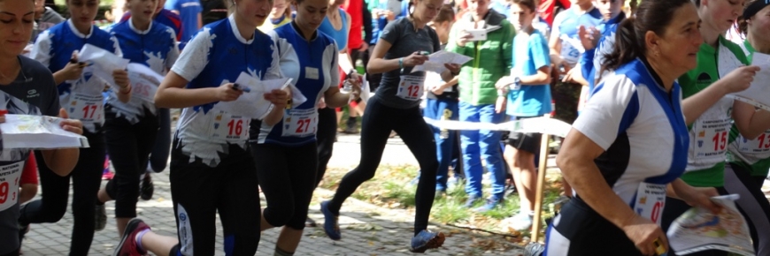 blogpost6